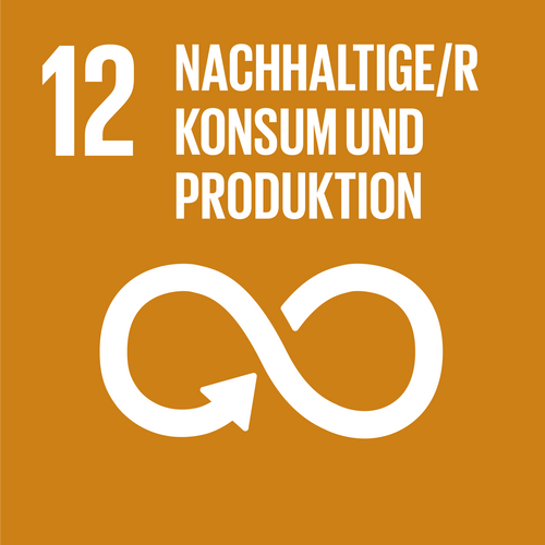 SDG 12: Nachhaltiger Konsum und Produktion